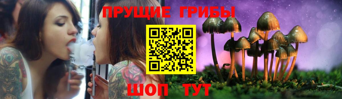 хочу наркоту  Вход с VPN  Тавда  Псилоцибиновые грибы Magic Shrooms 